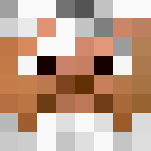 Elderly Mountain Climber - Male Minecraft Skins - image 3