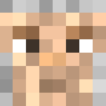 Roman Soldier - Male Minecraft Skins - image 3