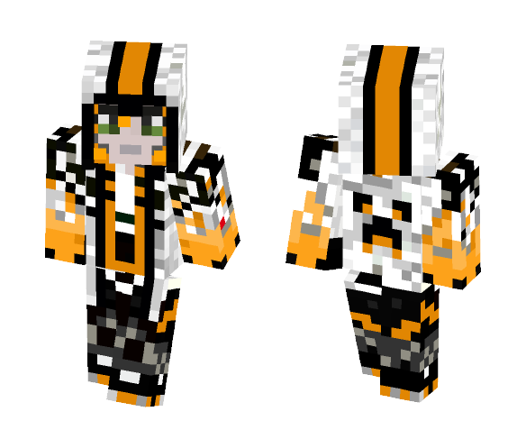 Assassin CoolBuddyCat - Male Minecraft Skins - image 1