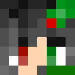Female Christmas skin 2016 - Christmas Minecraft Skins - image 3