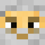 santa - Male Minecraft Skins - image 3