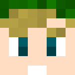 Link - Male Minecraft Skins - image 3