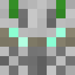 Destiny : House of Wolves (variks) - Male Minecraft Skins - image 3