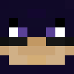 Raven DC (Magic Skin Contest) 2016 - Comics Minecraft Skins - image 3