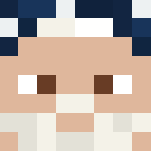 Wizard - Male Minecraft Skins - image 3
