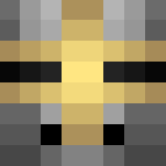 Crusader - Male Minecraft Skins - image 3