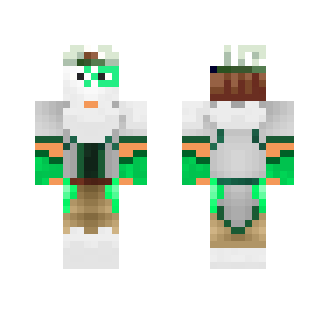 colorfull assasin - Male Minecraft Skins - image 2