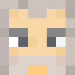 Gandalf - Male Minecraft Skins - image 3