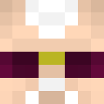 Superior Spider Stan (Stan Lee) - Male Minecraft Skins - image 3