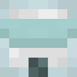 Robot/Human Warrior - Interchangeable Minecraft Skins - image 3