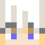 Killua Zoldyck - Hunter X Hunter - Male Minecraft Skins - image 3