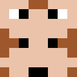 Mr/Miss Stinky Feet - Interchangeable Minecraft Skins - image 3