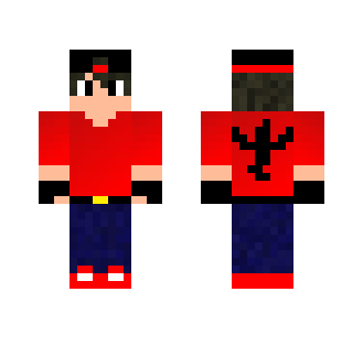 Team Valor Trainer