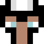 Magneto (marvel now [white suit]) - Comics Minecraft Skins - image 3