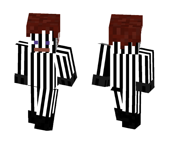 Big Bang Theory - Doppler Effect - Interchangeable Minecraft Skins - image 1
