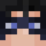 Nightwing - Male Minecraft Skins - image 3