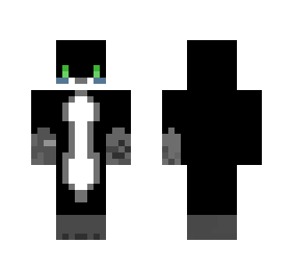 Racoon
