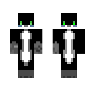 Racoon double - Male Minecraft Skins - image 2