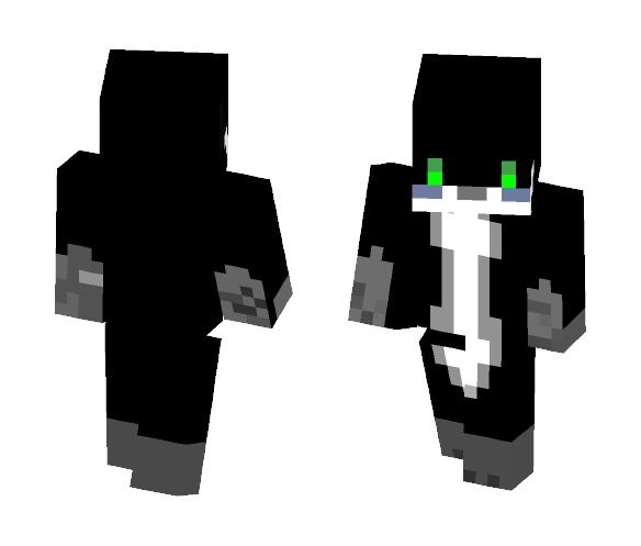 Racoon - Male Minecraft Skins - image 1