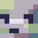 Double 0 Dolphin - PBL Week 2 - Interchangeable Minecraft Skins - image 3