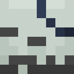 Undead Sea Captain - Interchangeable Minecraft Skins - image 3