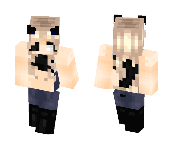Winter The Cat - Cat Minecraft Skins - image 1