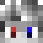 Download Free Silver Hoodie Head | Skin Skin for Minecraft image 3 Silver Hoodie Head | Skin - Male Minecraft Skins - image 3