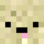 LOL - Interchangeable Minecraft Skins - image 3