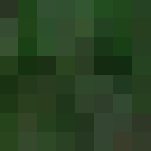 Swamp Monster - Interchangeable Minecraft Skins - image 3