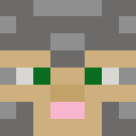 Imperial Legion Legate (Officer) - Interchangeable Minecraft Skins - image 3
