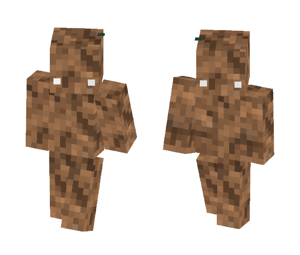 Minecraft Dirt Skin - Interchangeable Minecraft Skins - image 1