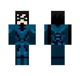 Nightwing-custom