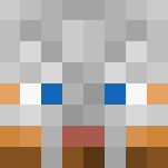 Maximus Decimus Meridius - Male Minecraft Skins - image 3