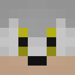 Silver the Hedgehog - Male Minecraft Skins - image 3