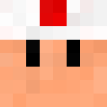 Super Mario Bros.: Toad - Male Minecraft Skins - image 3