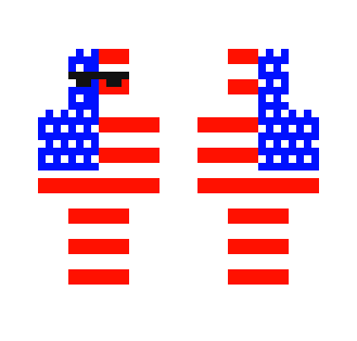 Cool USA Dude