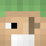 Inieloo | Zoro - One Piece - Male Minecraft Skins - image 3