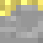 Derpy Cockatiel Pirate - Male Minecraft Skins - image 3