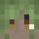 Forest Elf Scholar - Female Minecraft Skins - image 3