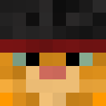 Puss In Boots - Male Minecraft Skins - image 3