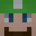 Luigi - Male Minecraft Skins - image 3