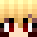 HV,hv,v,hfhm - Interchangeable Minecraft Skins - image 3