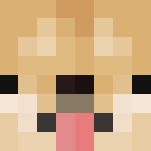 DOGE - Other Minecraft Skins - image 3