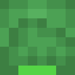 Ɠяєєη Sαρρнιяє - Female Minecraft Skins - image 3