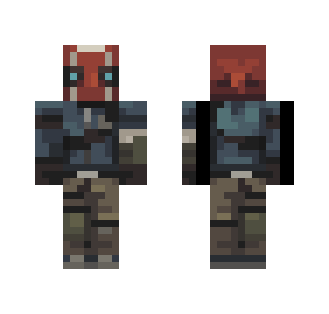 Borderlands 2 - Marauders