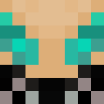 Gray the Ninelives - Male Minecraft Skins - image 3