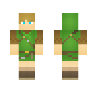 Breath of the Wild Link (Wild Set)