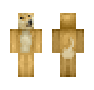 HD Doge