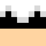 Assassins Guy - Male Minecraft Skins - image 3