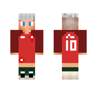 Euro 2016 Portugal Home Kit - Male Minecraft Skins - image 2